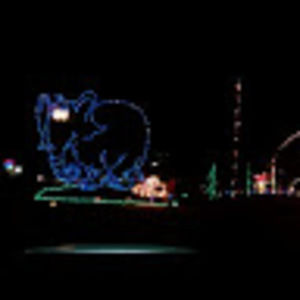 Meet your Posher, Michele